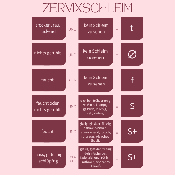 Zervixschleim, Ausfluss, Zervix, Schleim, NFP